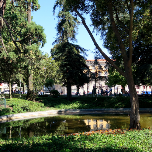 A LITERARY PORTO: 5 SPOTS THAT BOOK LOVERS CAN'T AFFORD TO MISS